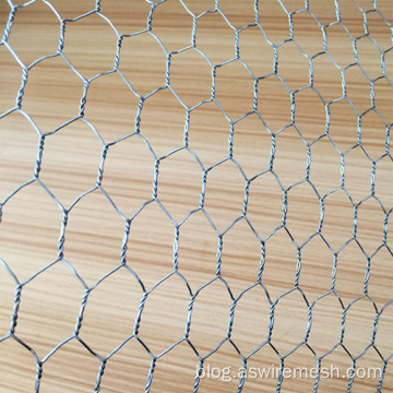 Hot galvanized chicken coop wire netting